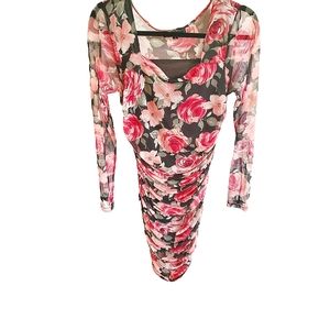 Sheer Rose Dress